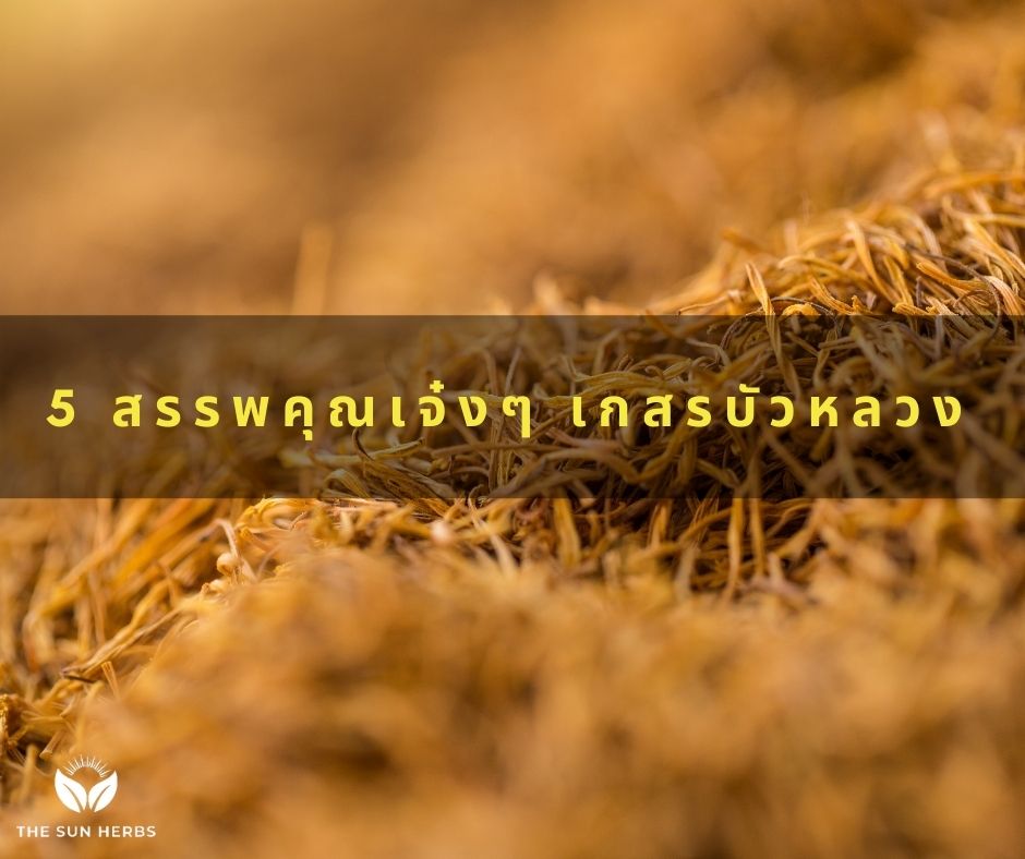 สรรพคุณเกสรบัวหลวง