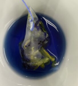 เครื่องดื่มอัญชัน Butterfly Pea Natural Color