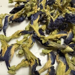 butterfly pea